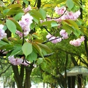貴陽(yáng)裝修公司龍頭裝飾客戶(hù)評(píng)價(jià)