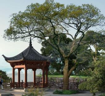 貴陽(yáng)裝修公司龍頭裝飾客戶(hù)評(píng)價(jià)
