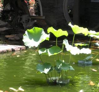 貴陽(yáng)裝修公司龍頭裝飾客戶(hù)評(píng)價(jià)